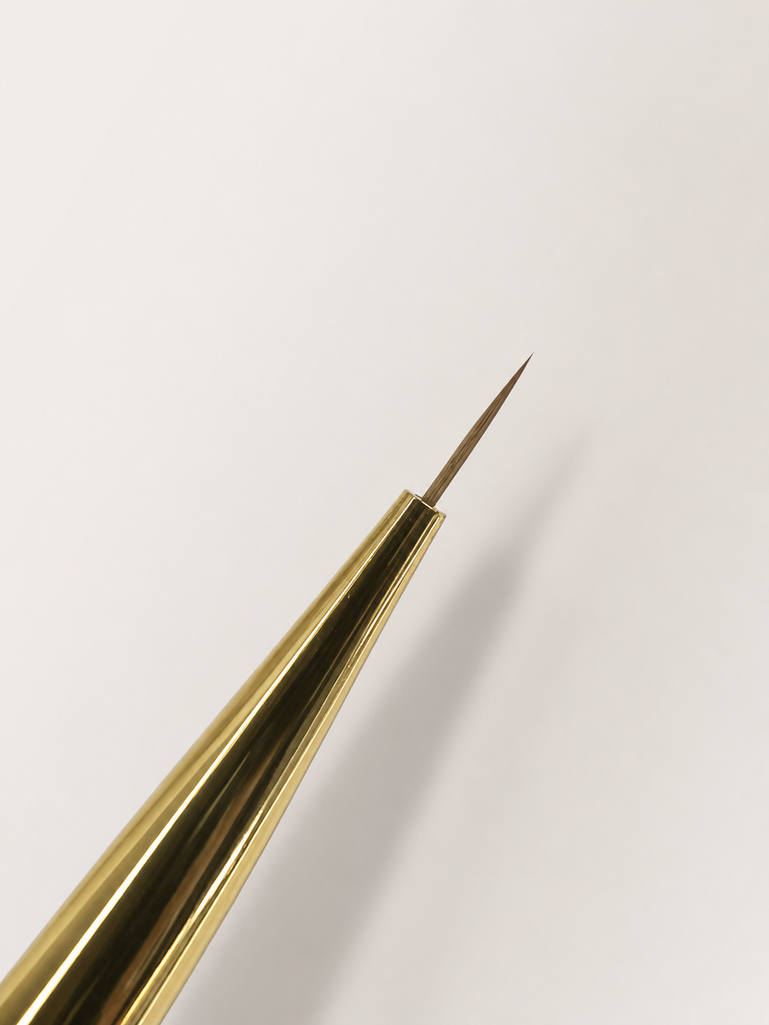 Illustrator super fine detailer x petal Brush
